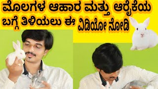 How To Care Rabbits And Its Food In Kannada      