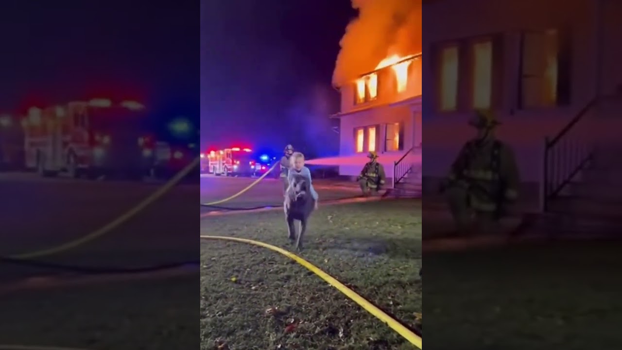 A dog’s courage that left firefighters speechless 🔥🐕