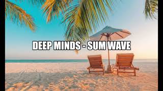 Deep Minds / Sum Wave (House Music)