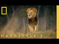 Nat Geo X HARDSTYLE 2 Fred Encore KETTAMA Shady Nasty mp3