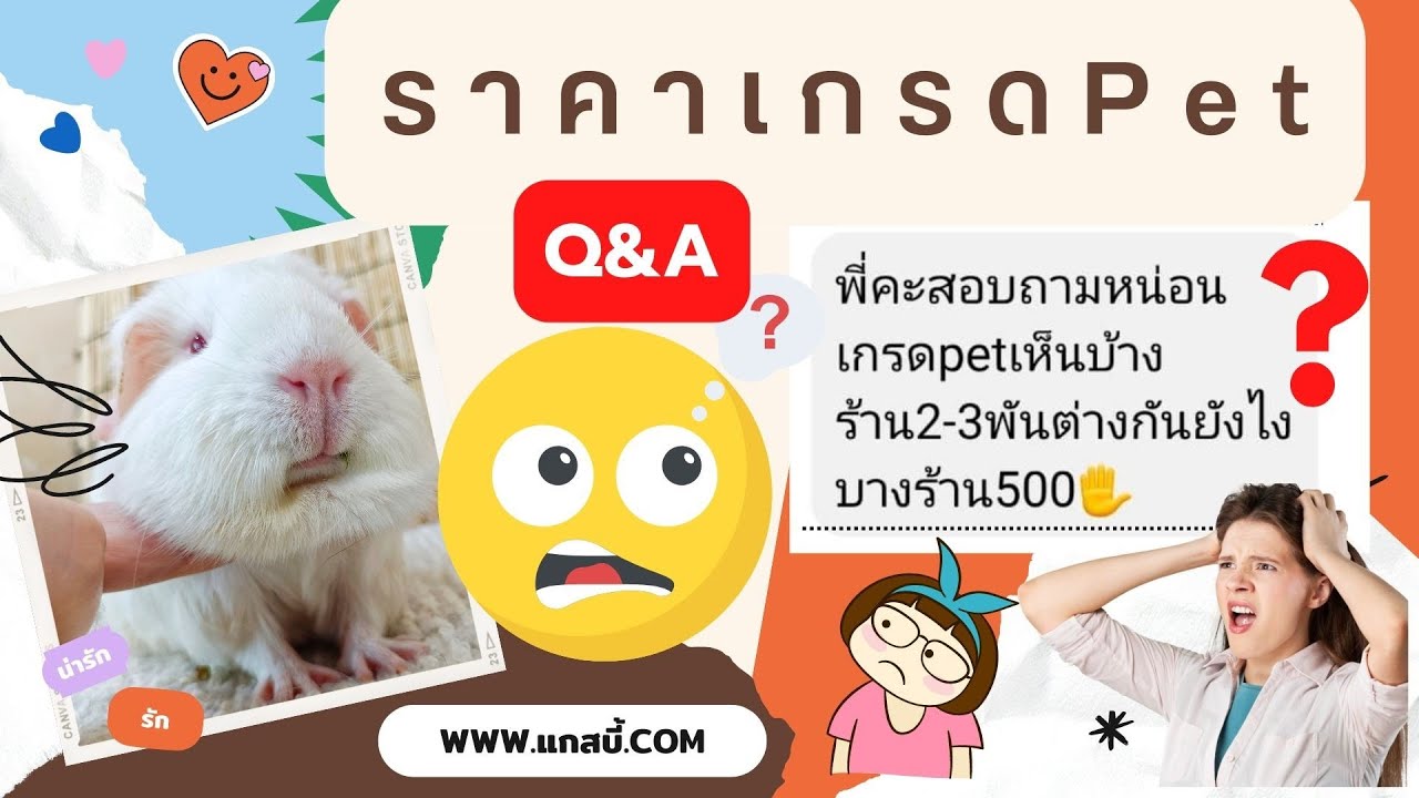 ราคาแกสบี้เกรดPet ถามมาตอบไปจ๊ะ