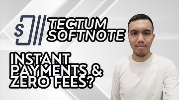 Tectum Softnote review: Instant payments & zero fees?