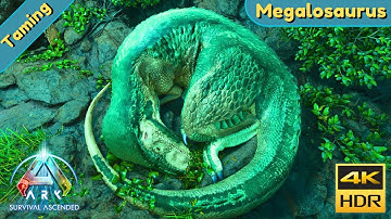 ARK Survival Ascended : Tame a Megalosaurus