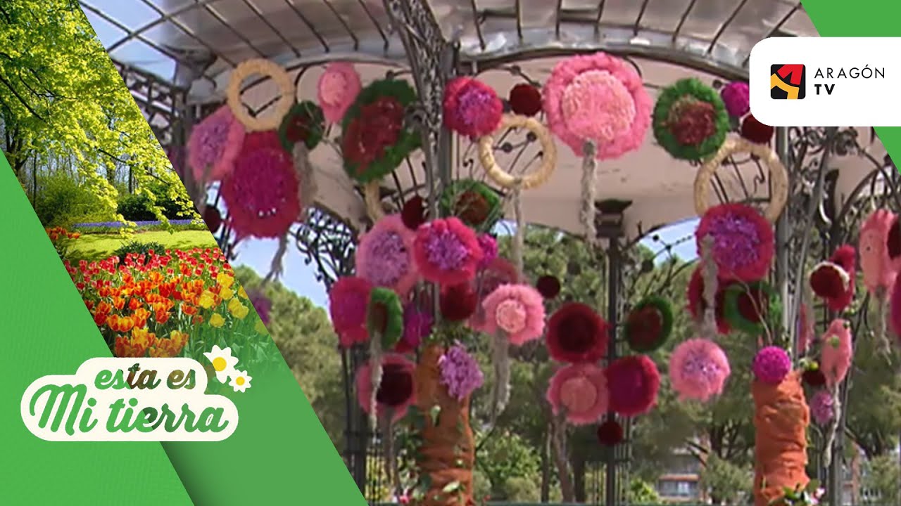 Exposición floral en el parque José Antonio Labordeta