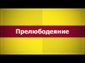 ✅ Прелюбодеяние  (Ключ Счастья) || Абу Яхья Крымский . Стихотворение Аль-Хаиййа