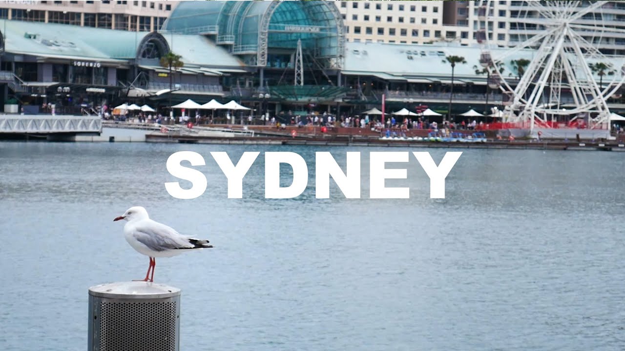 The Drought Before the Storm - SYDNEY, Jan 2020 (Travel video/Documentary)