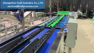 two lane avocado weight sorting line, electronic weight grading machine