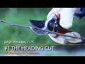 Basic Pruning Cuts 1: Heading Cut