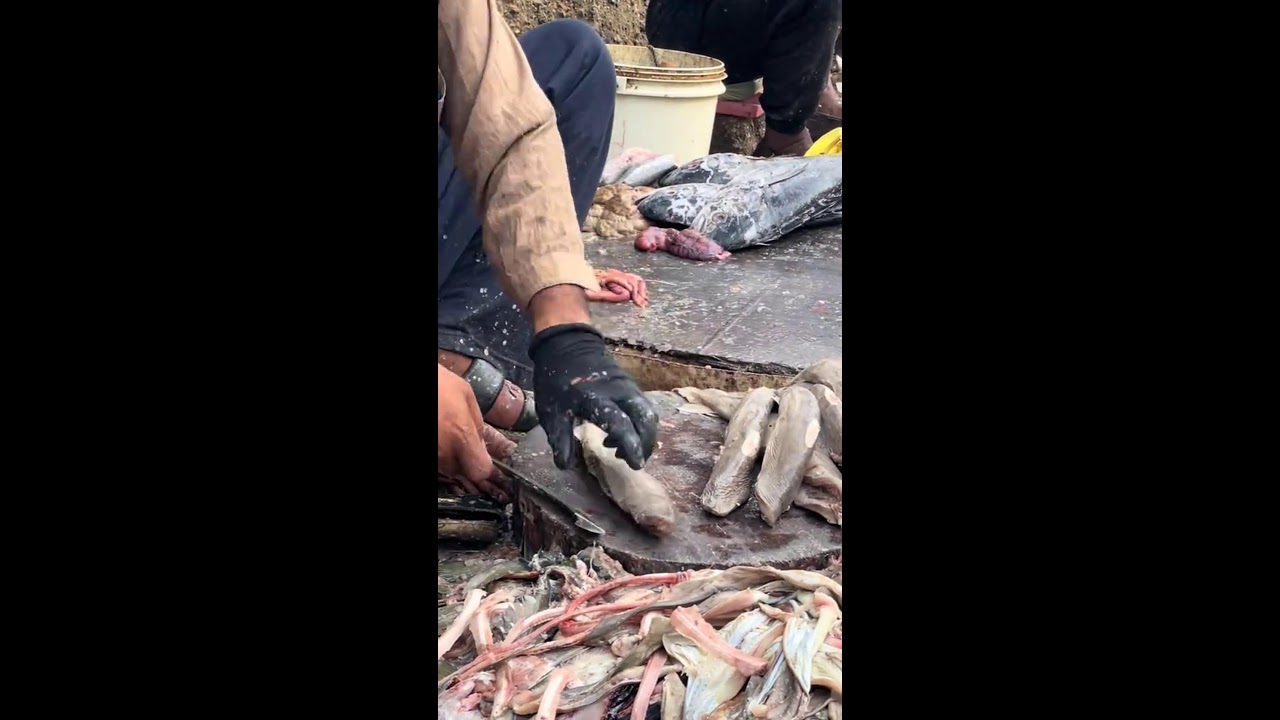 Cutting Boneless Fish Home Delivery Available 