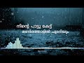Malayalam Unplugged -  Panjavarna Kulire Palazhi Kadavil Malayalam Lyrics HD Mp3 Song