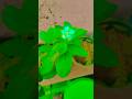 #motivational #shortvideo