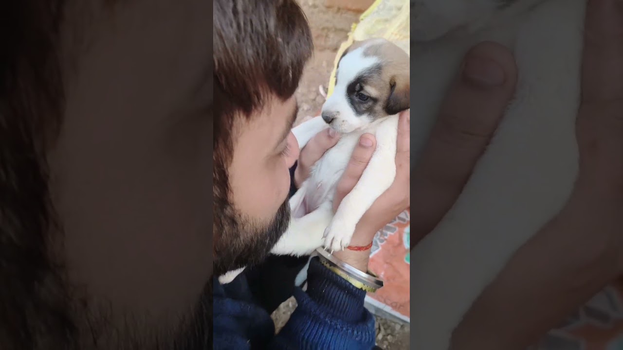 माँ माँ होती है 🥹