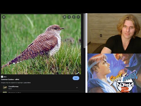 Street Fighter Alpha 2. The Cuckoo bird fairy tale game for boomers. FGC game theory ASMR