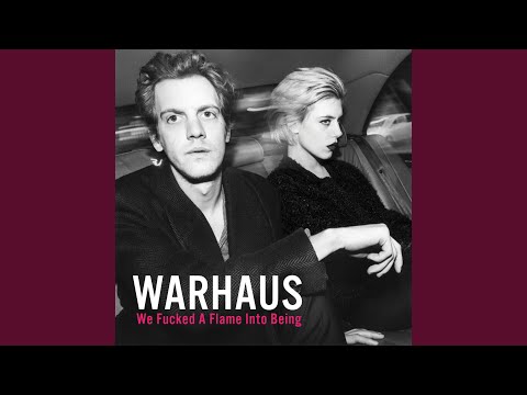 Against the Rich - Warhaus