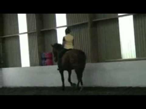 Heather Moffett on Shire x mare, demonstrating sit...