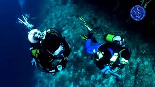 Diving tour from Split or Trogir - HAPPYtoVISIT