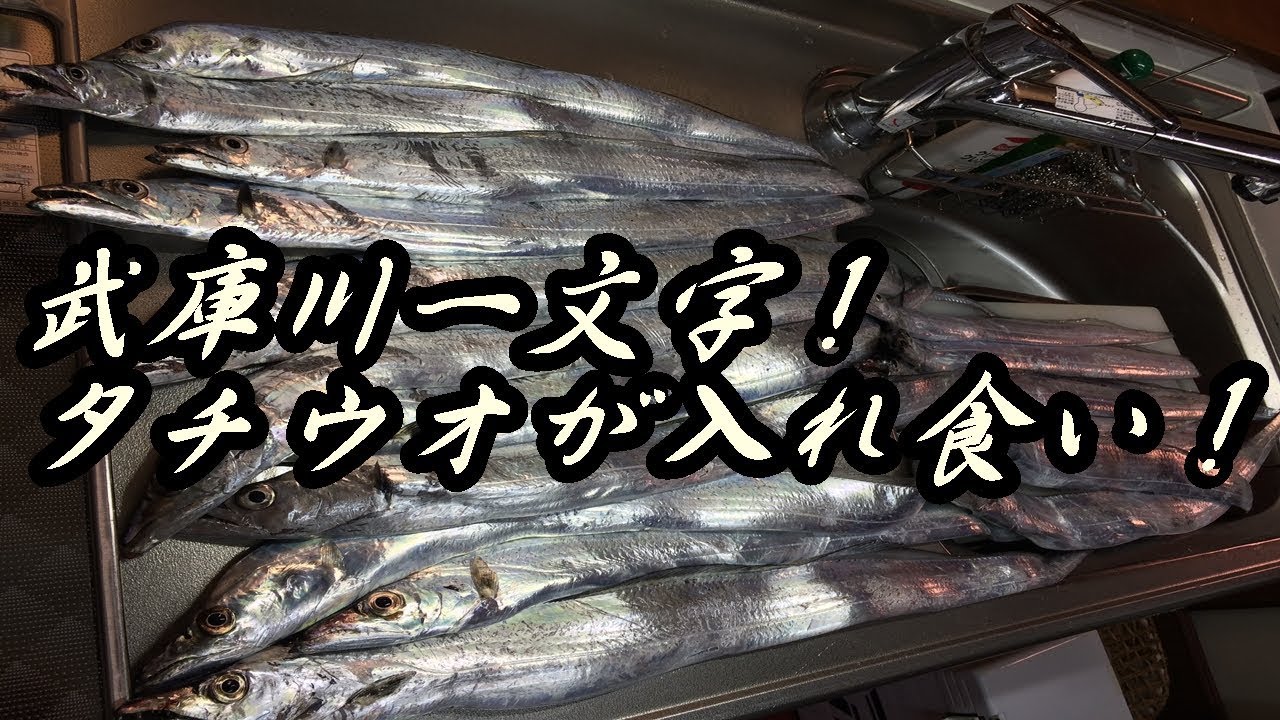 ディアルーナxr B806mlのインプレ ベイトシーバスにおすすめロッド Hajimeのバス釣りブログ