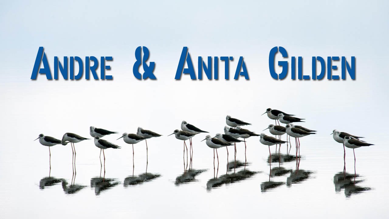 ANDRE and ANITA GILDEN