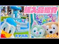 【ドナパル】ディズニーグッズ購入品紹介2025【ダッフィー20周年】