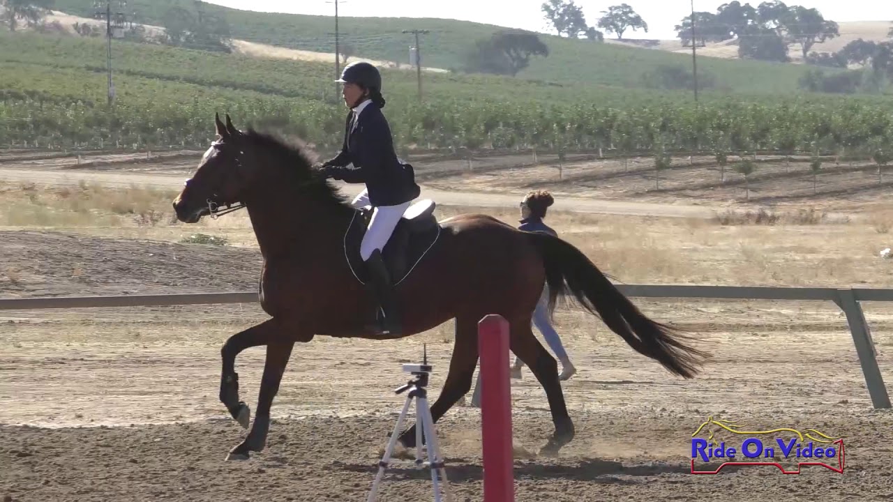 horseshoe bend 142S Julia Tussing on Charm Offensive SR Training Show Jumping Twin Rivers Ranch Sept. 2019