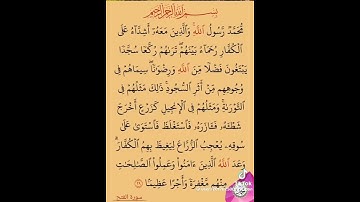 الاية 29 من سورة الفتح