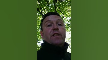 Project nestbox Blue tit chicks