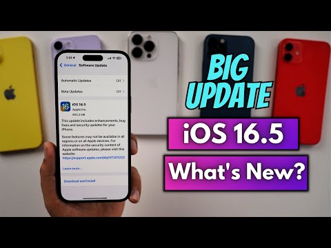 iOS 16.5 Big Update | What's New?