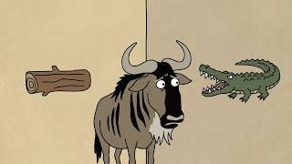 Wildebeest from Birdbox Studio ( ANIMAÇÃO 2D )