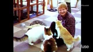 Ed Sheeran 10/31 TV Interview