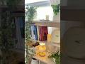 Organize bookshelves #aesthetic #roommakeover #makeover #shorts