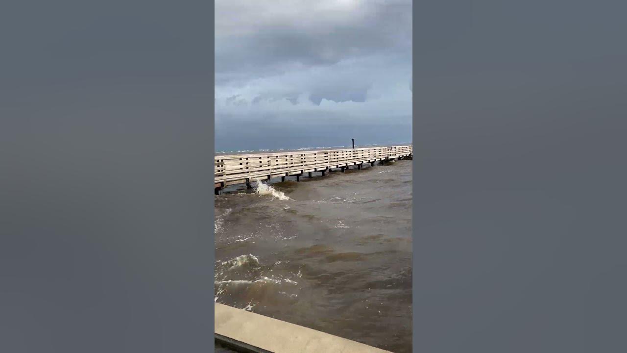 Hurricane idalia flood damage bayshore live oak park charlotte