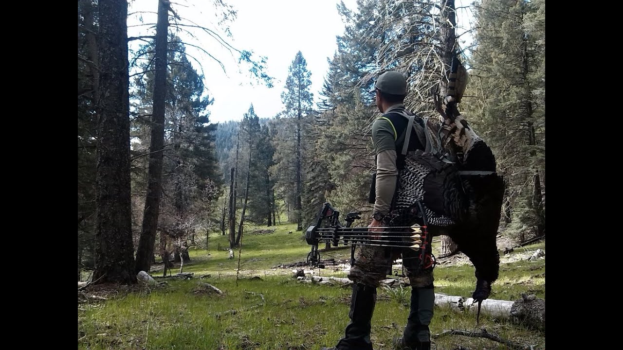 New Mexico Turkey Hunting Prices New Mexico Turkey Hunting Prices