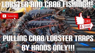 Checking, Re-Baiting And Resetting Lobster/Crab Traps - Sea Fishing UK