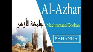 Wax ka ogoow jaamcadda Al-azhar | macluumaad kooban |