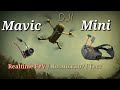 Dji Mavic Mini. Realtime FPV. Возможно? Тест системы.