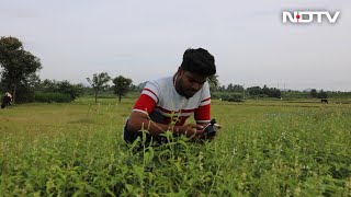 How a Smartphone Helped a Photographer | Cell Guru screenshot 4
