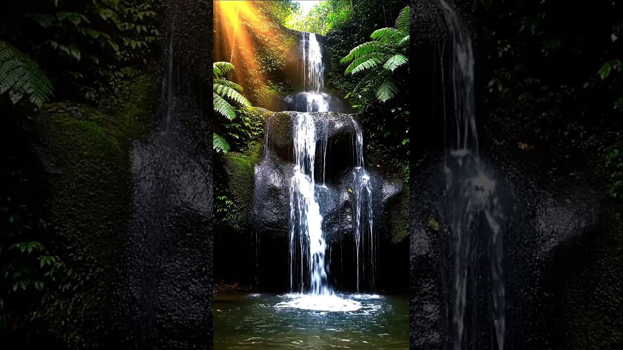 Relaxing Piano | Relaxing Nature ASMR | Studying | Fall Asleep Fast with Piano Instrument | Relaxing