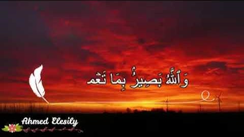 أخر آيه في سورة الحجرات مع أول سورة ق بصوت الشيخ المنشاوي رحمه االه