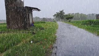 WALK IN HEAVY RAIN IN VILLAGE LIFE | POWERFUL RAIN IN MY VILLAGE
