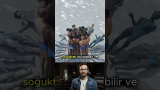Hayatta Kalmak İçin Daire Oldular 😱