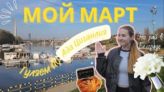 Куда сходить в Белграде | Солнечная Ада Циганлия и БУЛОЧКИ из Слоя