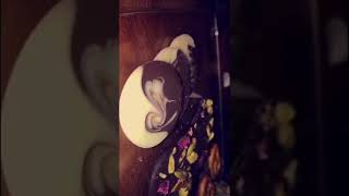 شوكولاتة Honeymoon من أفخر وأجود أنواع الشوكولاتة لمناسباتكم السعيدة 🍫 2019 screenshot 4