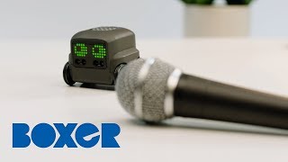 Boxer Singing Lessions