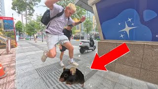 Street prank involving a fake mouse, meeting someone who loves it.