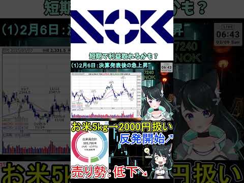 NOK (7240) の決算分析！36.3%増益の真相と機関投資家の動向