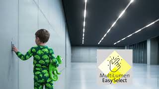 LINEDO 50 with MES - MultiLumen Easy Select | The continuous line luminaire for industry & logistics
