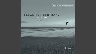 Video thumbnail of "Sébastien Bertrand - Valse d'en face"