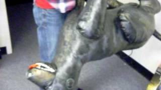 JetCreations' Black Dog Inflatable Animals