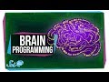 Optogenetics and Brain Programming Quiz