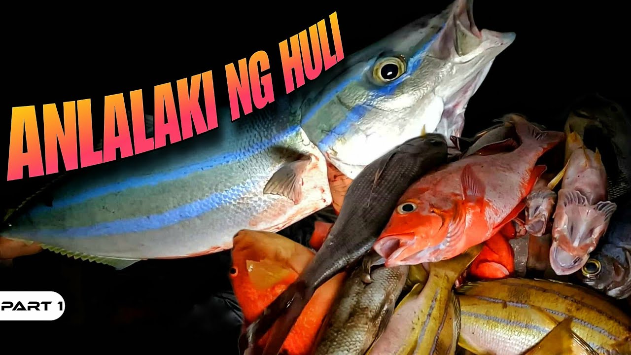 P1 - Malalaki ang Huli sa Pangangawil sa Gabi - EP2005